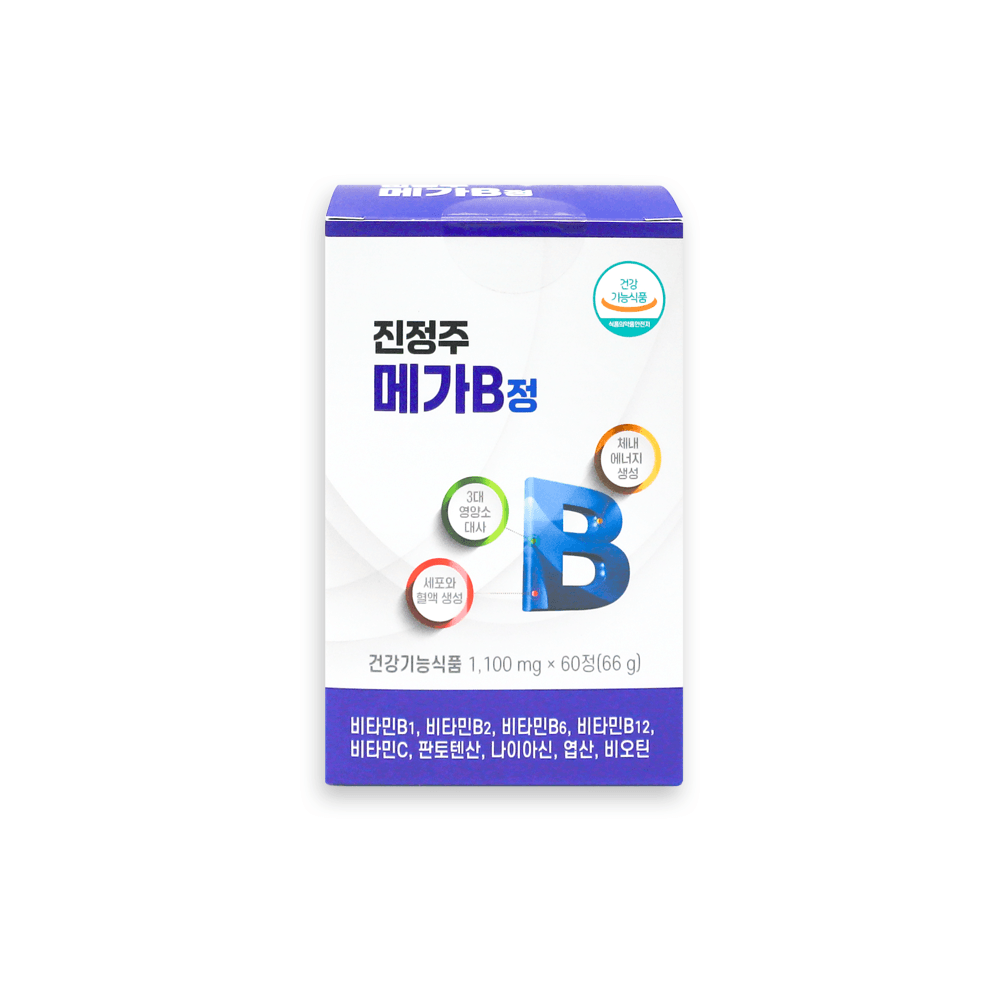 진정주 메가B정 1100mg x 60정, 4개