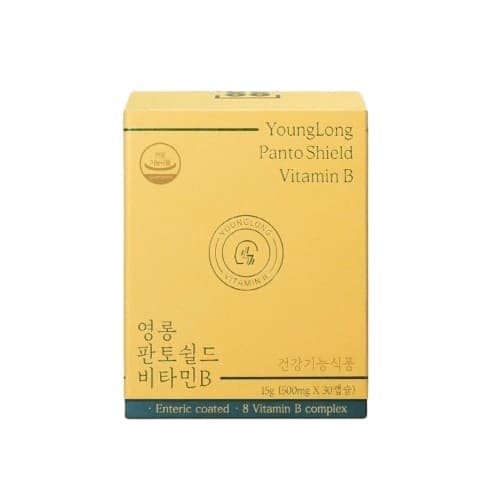 영롱 판토쉴드 비타민B 500mg x 30캡슐, 4개