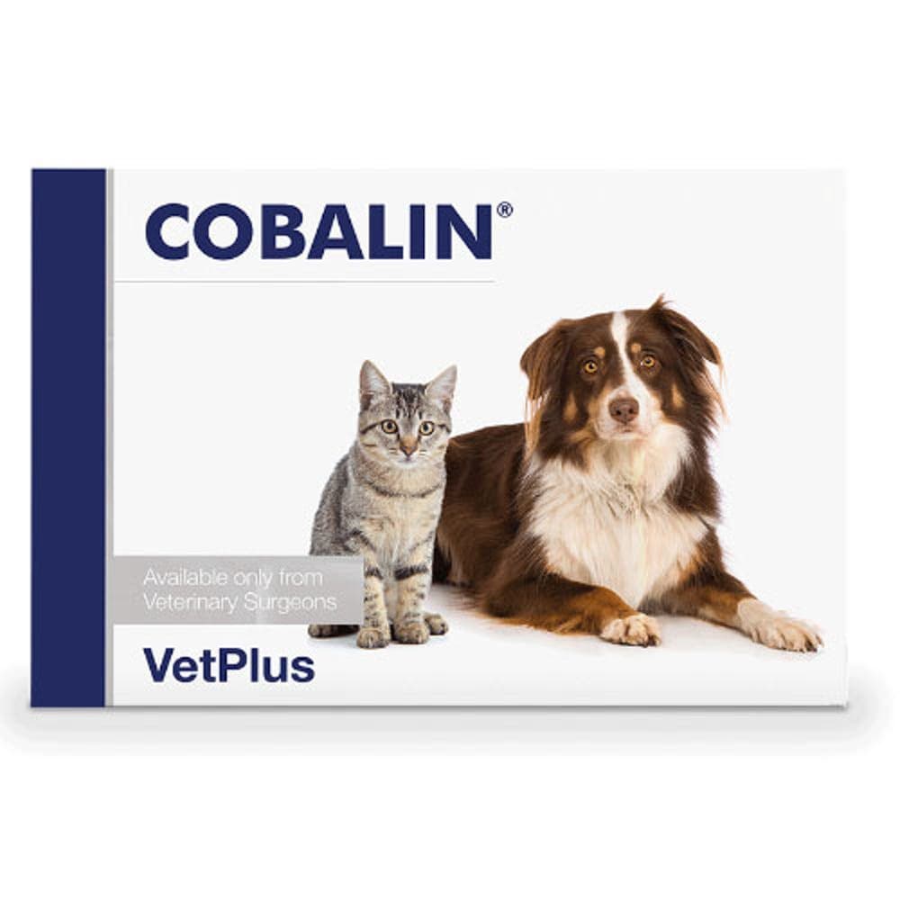 벳플러스 코발린 강아지 고양이 코발라민 엽산 비타민 영양제 60캡슐  60회분  진정  1개