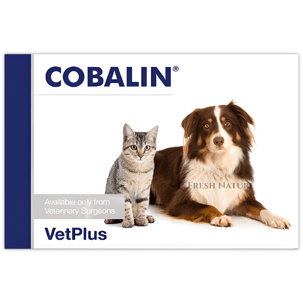 벳플러스 코발린 강아지 고양이 엽산 영양제  30회분  비타민  1개