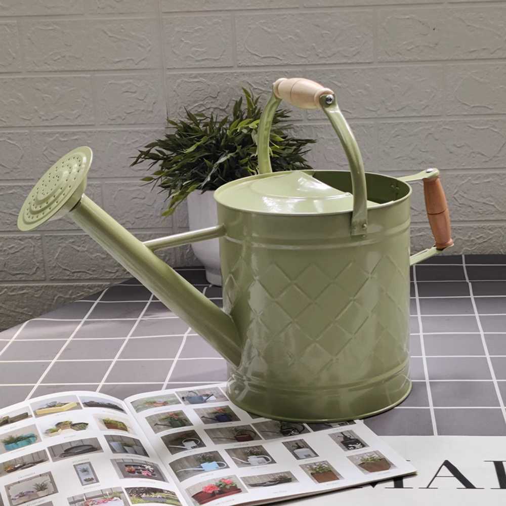 수출 구미 양용 철분 물뿌리기 물뿌리개 가정용종채양화 라지 물뿌리개 대용량 원예 물뿌리개  2. 과일그린-12106S(3.5L)  1개