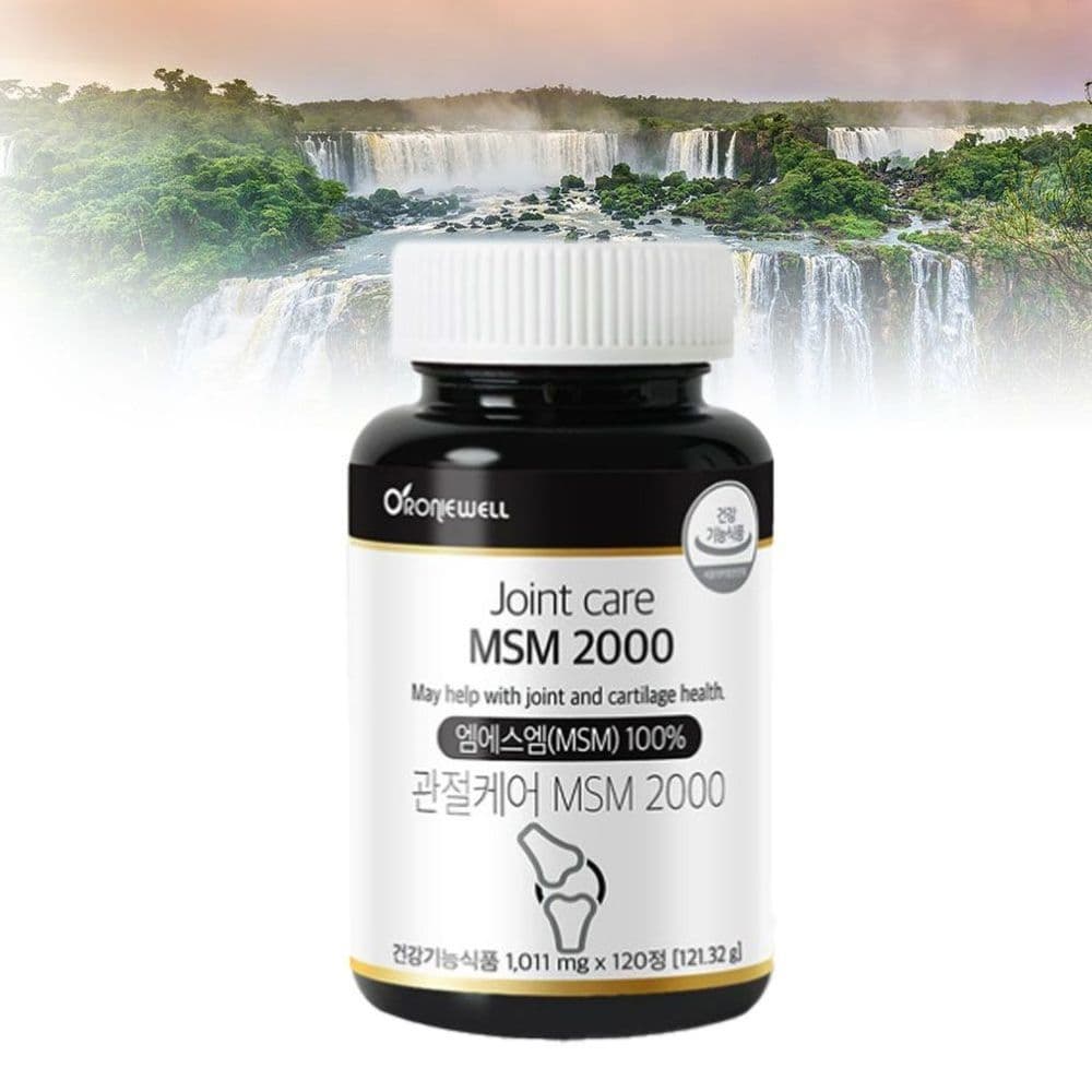 엠에스엠 120정  1개