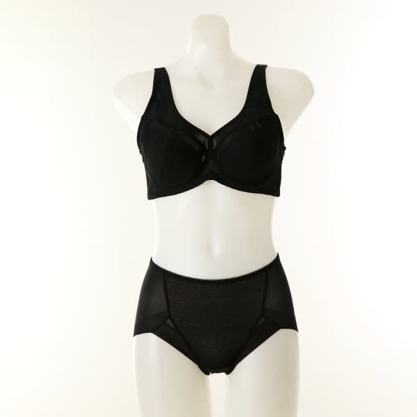 비너스 코엔자임 Q10 바디미 풀컵 기능성 브라 헴팬티세트 A-B컵 VGBM164 VPTM164H  90  블랙  80A