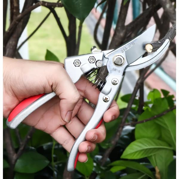 아연 합금 정원 전지가위 | SK-5 고탄소강 블레이드 | 대구경 노동절약형 과수 전지가위  1개