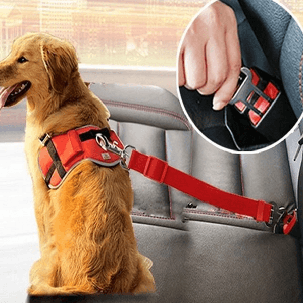 애견용 자동차 안전 벨트 강아지 반려동물 이동 반려견 차량용 안전 벨트 프로필렌 카시트 아연 조절 길이