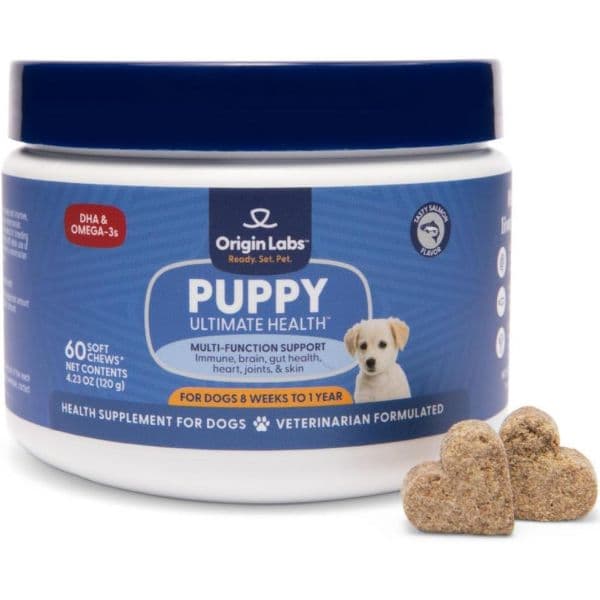 강아지 멀티케어 눈물 피부 기관지 종합 영양제 오리진 랩스 다 DHA 오메가 3 야생 알래스카 연어 피쉬 오일 프로바이오틱스 뇌 맛 60 소프트 츄