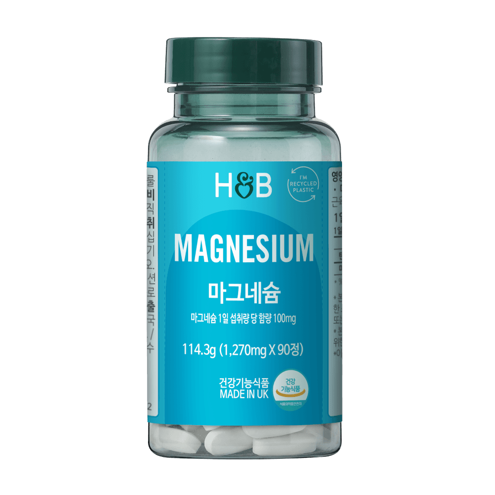 홀랜드앤바렛 마그네슘 100mg 90정, 1개