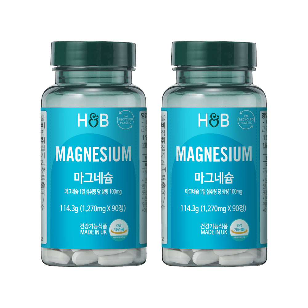 홀랜드앤바렛 마그네슘 100mg 90정, 2개