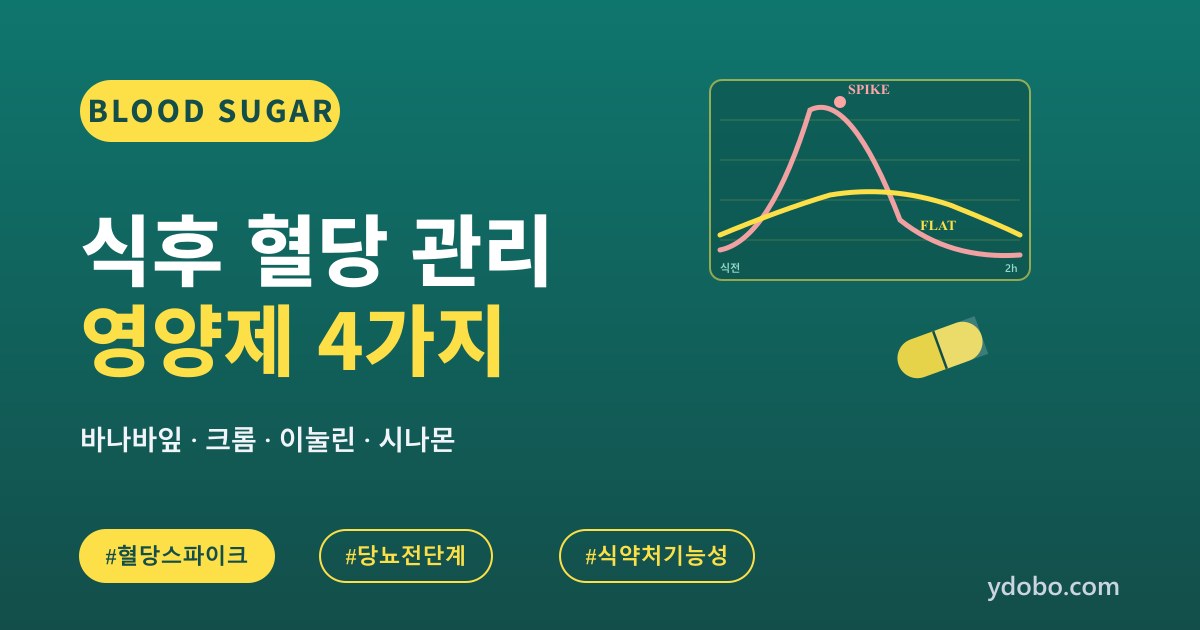 식후 혈당 급상승 관리 영양제 4가지: 바나바잎·크롬·이눌린·시나몬 (2026)